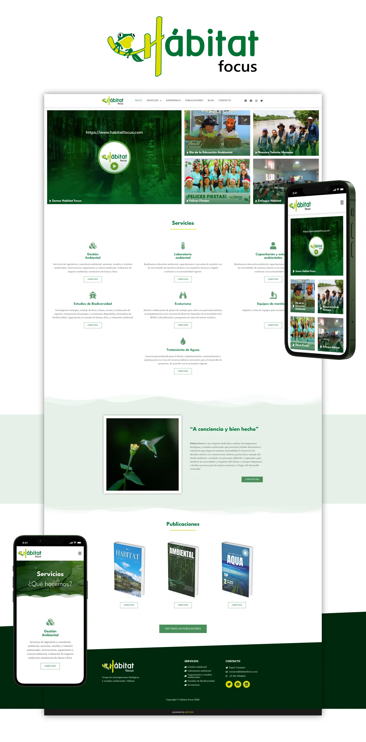 Habitatfocus Web Montaje